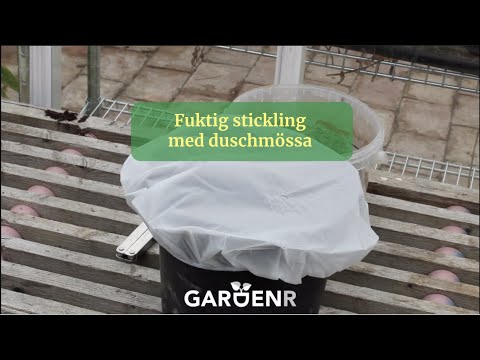 Damp cuttings with shower cap - Gardenhacks by GardenR