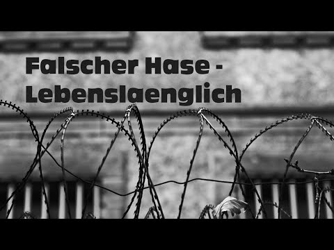 Falscher Hase - Lebenslänglich (Dezember 2011) [DJ Mix | Deep House]