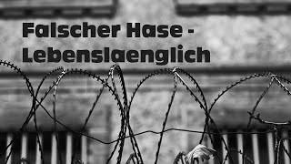Falscher Hase - Lebenslänglich (Dezember 2011) [DJ Mix | Deep House]