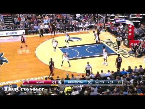 Dwayne Wade 2015-16 Highlights