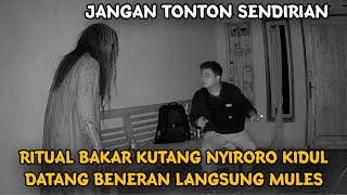 Download lagu UJINYALI TERGILA ! PERNIKAHAN JIN DENGAN MANUSIA ITU NYATA KAKE GUFRON MEMILIKI ISTRI KUNTILANAK mp3 Download lagu UJINYALI TERGILA ! PERNIKAHAN JIN DENGAN MANUSIA ITU NYATA KAKE GUFRON MEMILIKI ISTRI KUNTILANAK mp3