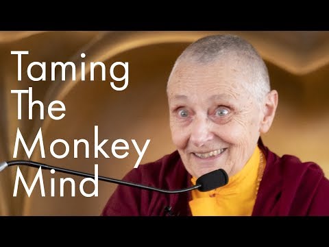 Taming the Monkey Mind with Jetsunma Tenzin Palmo (filmed at KMSPKS Singapore)