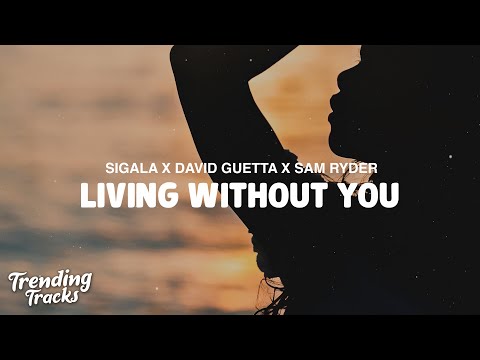 Sigala x David Guetta x Sam Ryder - Living Without You (Lyrics)