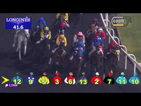 Dubai World Cup 2017: Race 6 - Dubai Golden Shaheen sponsored by Gulf News