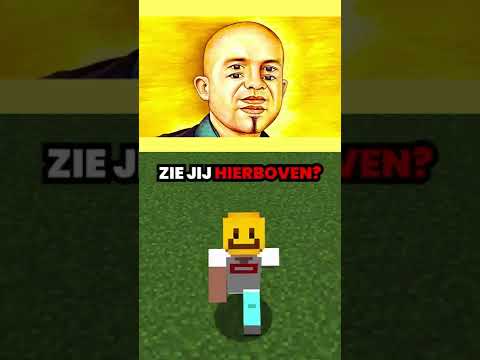 Zie Jij Meer Dan 2 Gezichten?