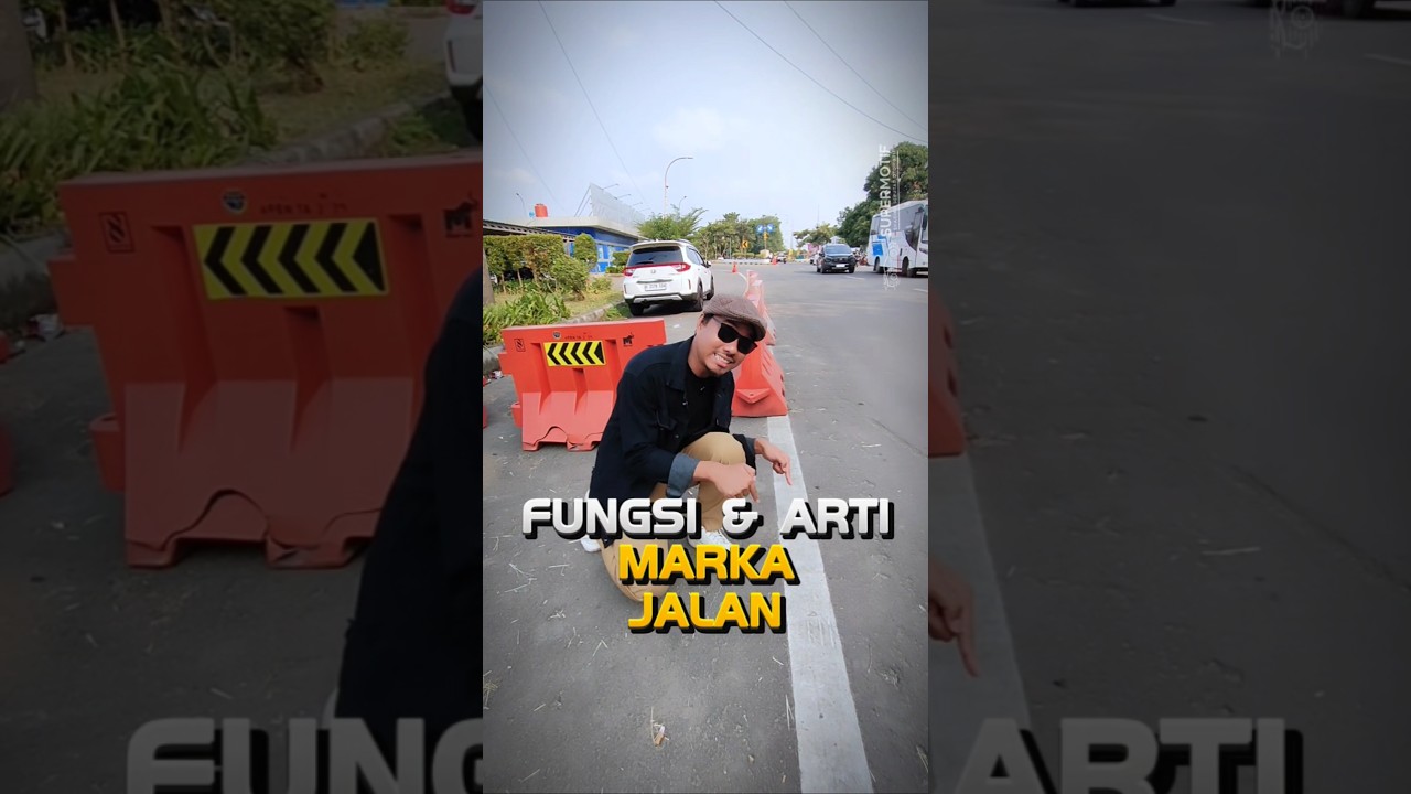 Road Markings Are Not Just for Decoration ❗This is Their Meaning and Function 🚘