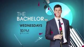 THE BACHELOR S20 promo 2