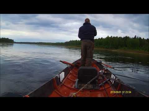 tornionjoki 2018 1.6