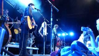 proud - the Common Linnets