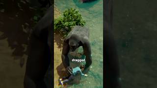 Download lagu The Boy Who Fell Into Harambe’s Enclosure! 😰 mp3