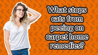 What stops cats from peeing on carpet home remedies?