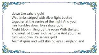 Bruce Cockburn - Sahara Gold Lyrics