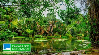  Definição das emendas ao Projeto de Lei Orçamentária Anual 2026 - 06/11/2025 08:00