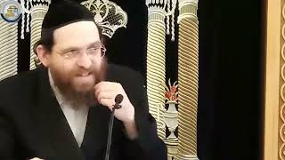 הדף היומי הירושלמי מסכת ברכות דף פז - אידיש