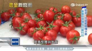[緯來] 2/2 新春自給自足一人農業
