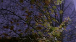 BLUE/TWENTYFORTYEIGHT 2.0