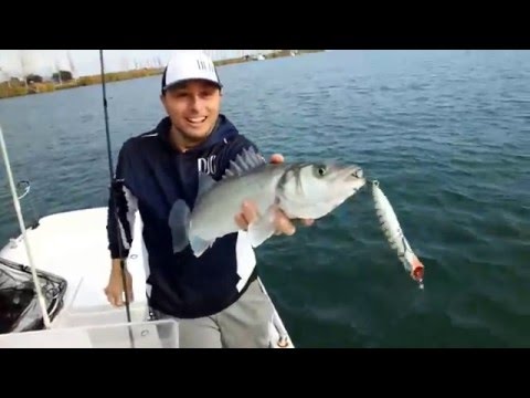 DUO Pencil Popper SW Limited 11cm 18g ADA0150 Dorado HD F