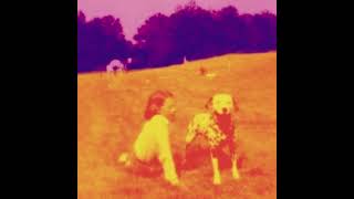 The Eels ~ 18 Sweet Li&#39;l Thing