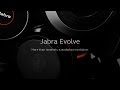 Накладные наушники Jabra Evolve 20 MS Stereo Black 10
