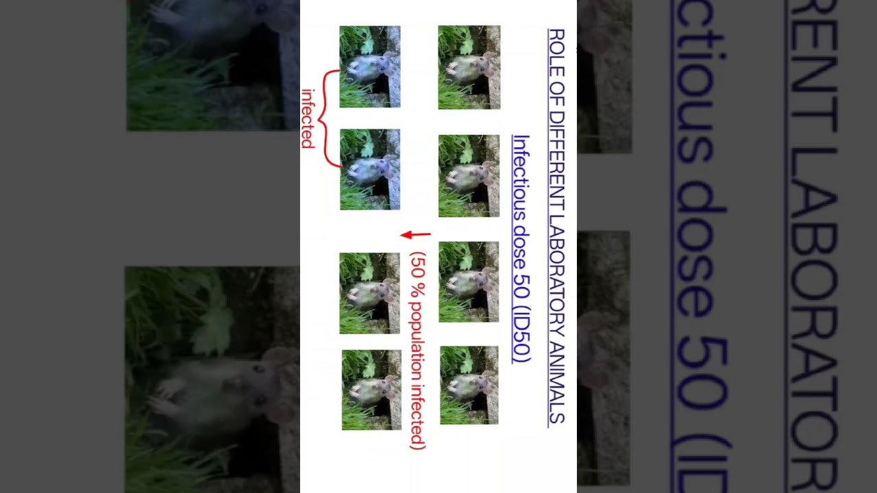 Infectious dose 50 (ID50) & lethal dose50(LD50)#LaboratoryAnimals #Bioassay#AnimalResearch#Veterinar