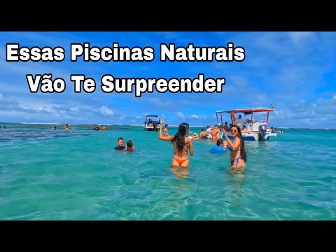 São José Da Coroa Grande Pernambuco Passeio Piscinas Naturais