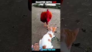 #funny #chicken #animals #birds #peixesamazonicos #wildlife #barcopesqueiro