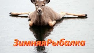 Озеро черное хакасия рыбалка форум