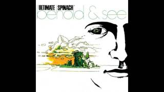 Ultimate Spinach - Visions of Your Reality