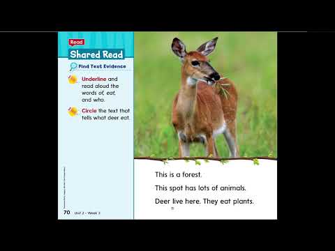 The Best Spot ( Wonders reading unit 2 Grade 1 )