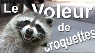 052 LE VOLEUR DE CROQUETTES