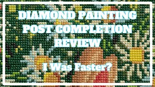 I Think This Worked, But I Didn't Like It . . . | Diamond Painting Post Completion Review
