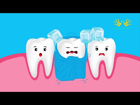 Zakaj si moramo umivati zobe? Animacija o Zobku Zdravku