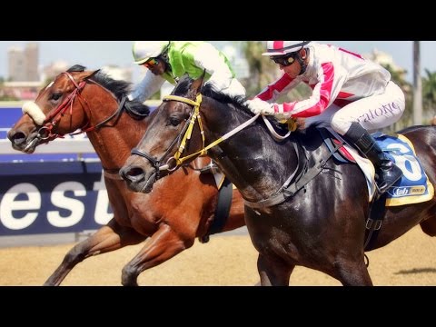 GREATEST HITS - 2013 Summerhill Ready To Run Graduate