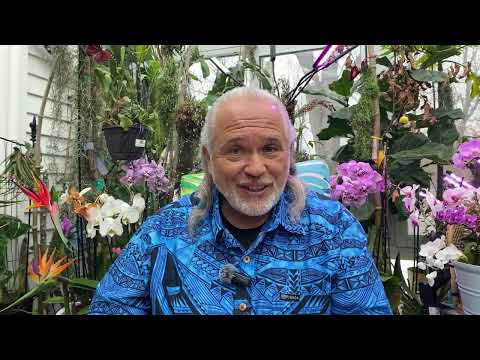 FRANK26….2-11-26…..VICTORY FOR SUDANI & US