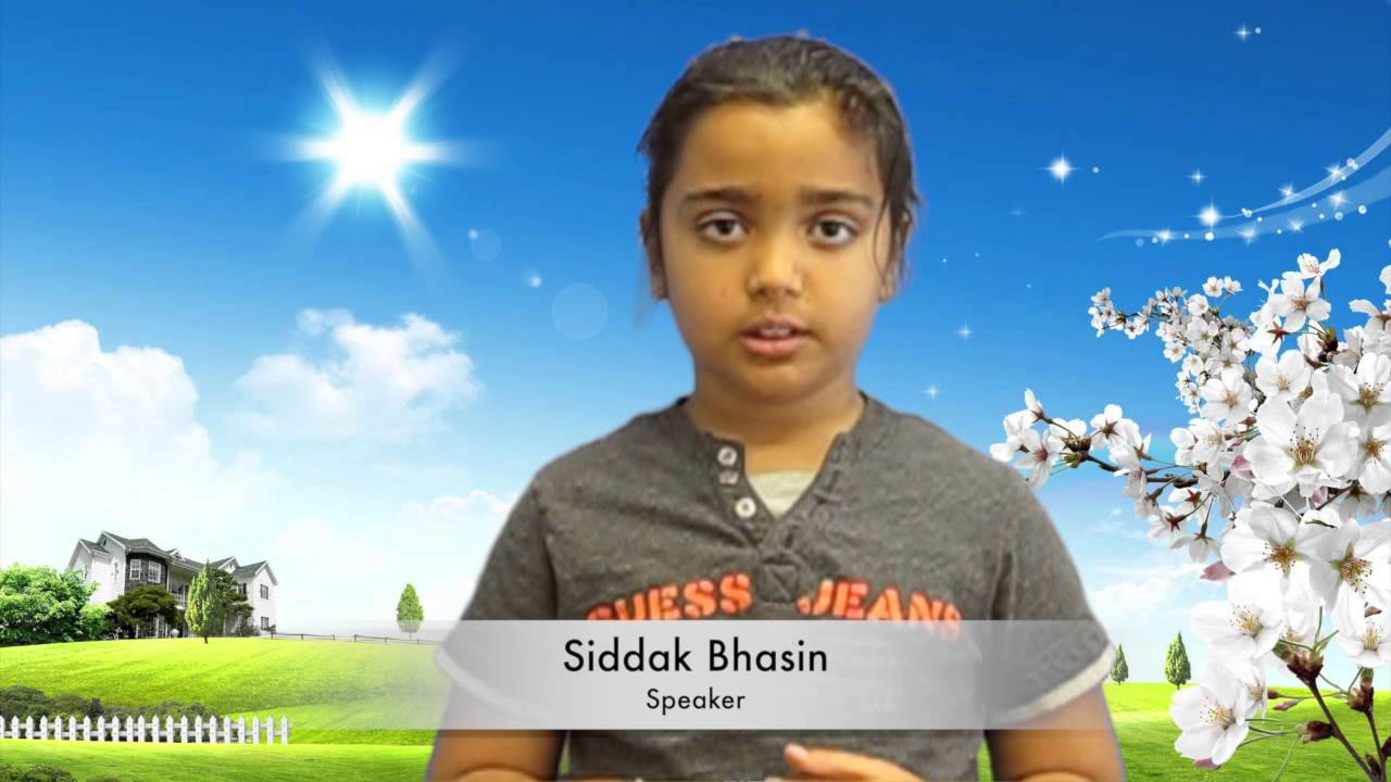 Essay Presentation - Reading Town Chino Hills