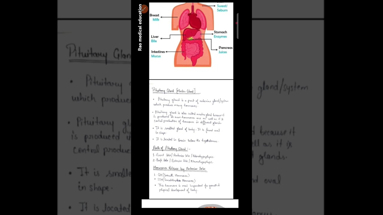 Notes of the endocrine system | Anatomy & physiology..#glands #bodysystem #nursingstudent