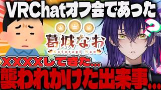 【パコ未遂】VRChatオフ会でフレンドに襲われかけた話【Vtuber】