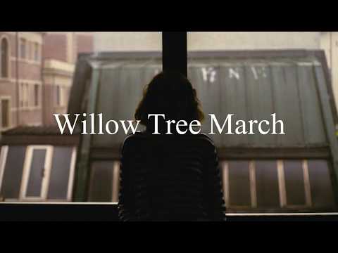 The Paper Kites - Willow Tree March