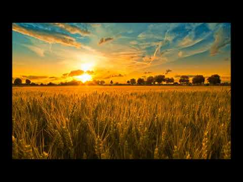 download lagu mp3 mp4 Harvest Hymns, download lagu Harvest Hymns gratis, unduh video klip Harvest Hymns