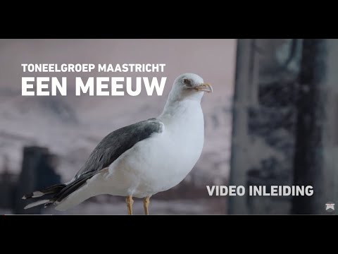 Video-inleiding Een Meeuw - Toneelgroep Maastricht