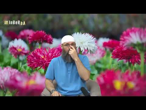 Da li je ženi koja živi u Švicarskoj grijeh skinuti nikab zbog zabrane nošenja nikaba u toj zemlji?