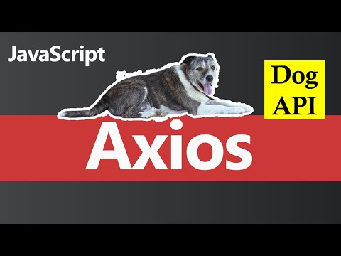 Axios Complete in One Video Hindi