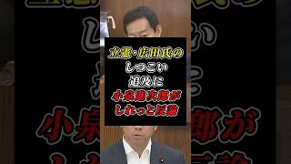 「決めつけられるのは違う」小泉進次郎が立憲・広田氏のしつこい追及を余裕で回避w #自民党 #国家安保会議