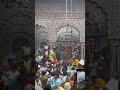 Kali Kamli Wala Mera Yar Hai ️ Bankebiharitemple Bankebihari Vrindavan Bankebiharistatus