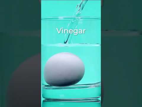 Do you have Vinegar? Make this experiment with an Egg! #shorts