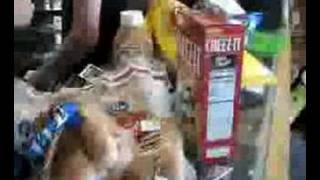 We Are The Fury Live - Camera Tricks