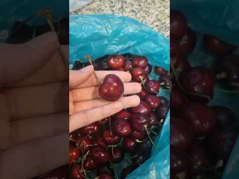 My Favourite Fruit 🍒 #Khadija ka Aashiyana #fruit #food #trending #viral fruit