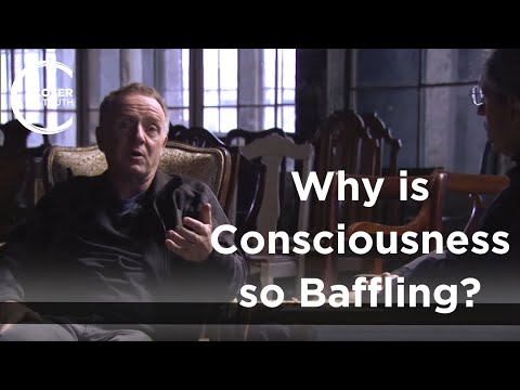Colin McGinn - Why is Consciousness so Baffling?