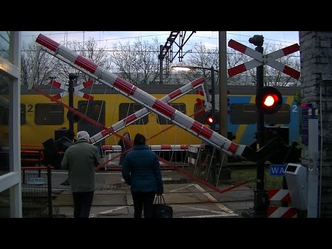 Spoorwegovergang Oss // Dutch railroad crossing