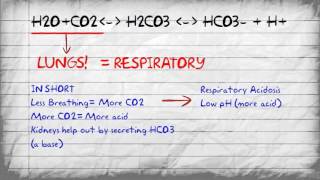 Bicarbonate Buffer System and pH Imbalances
